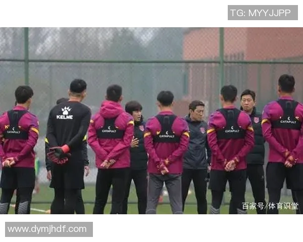 英超乒乓球专题深入探讨成都乒乓球队的技术特点与训练方法